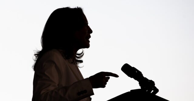 Kamala Harris ‘Open’ to Discussing Arms Embargo on Israel in Exchange for Michigan ‘Uncommitted’ Votes