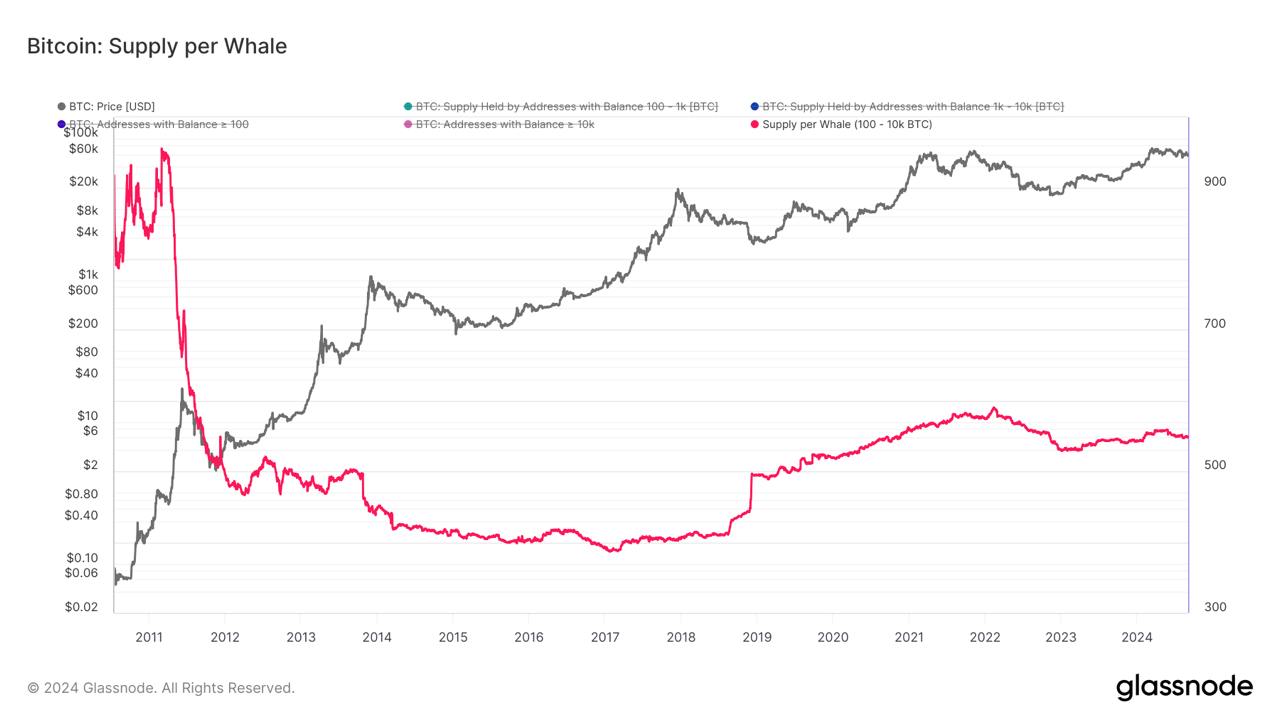 How much Bitcoin does the average whale hold?
