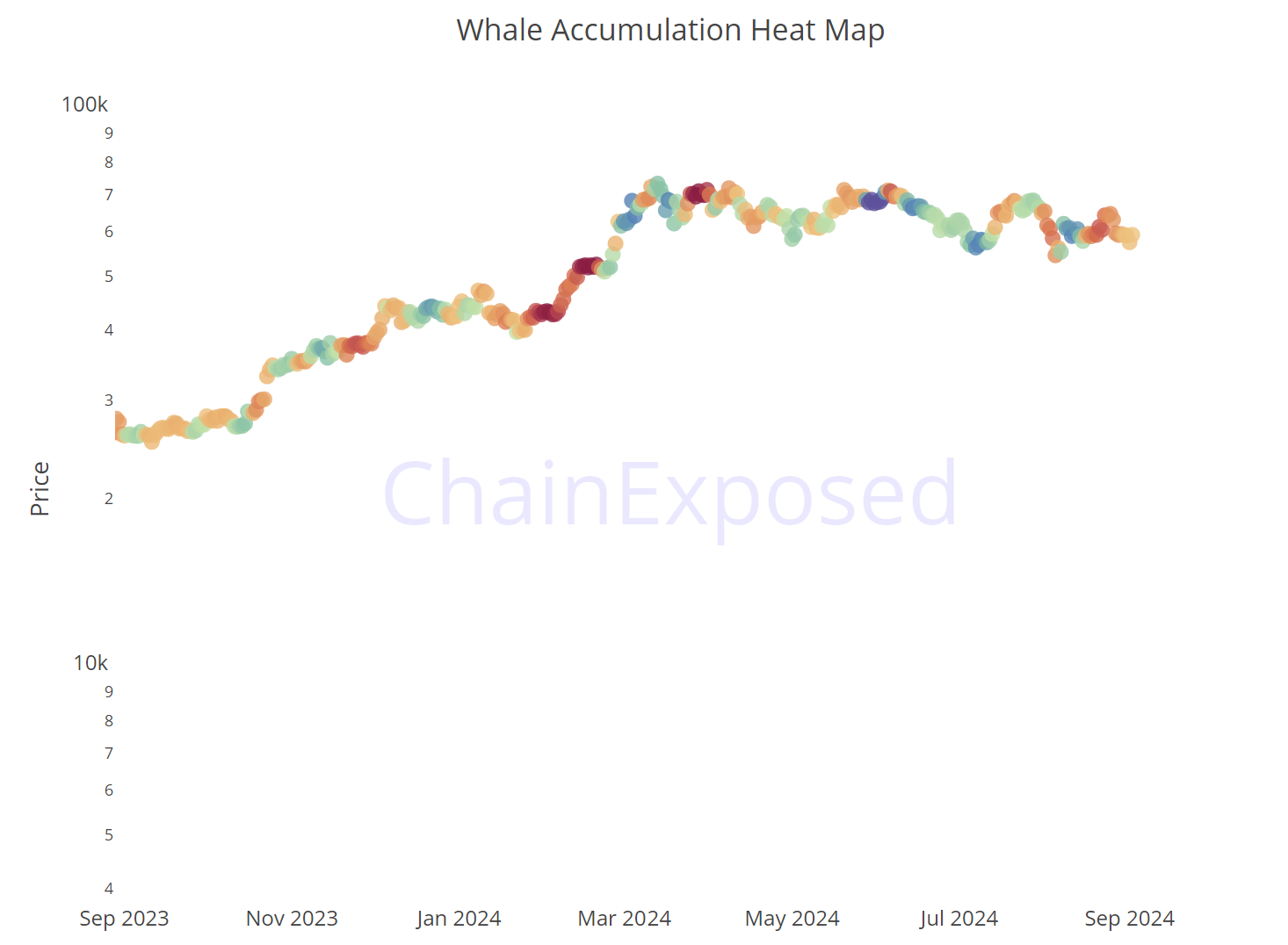 How much Bitcoin does the average whale hold?