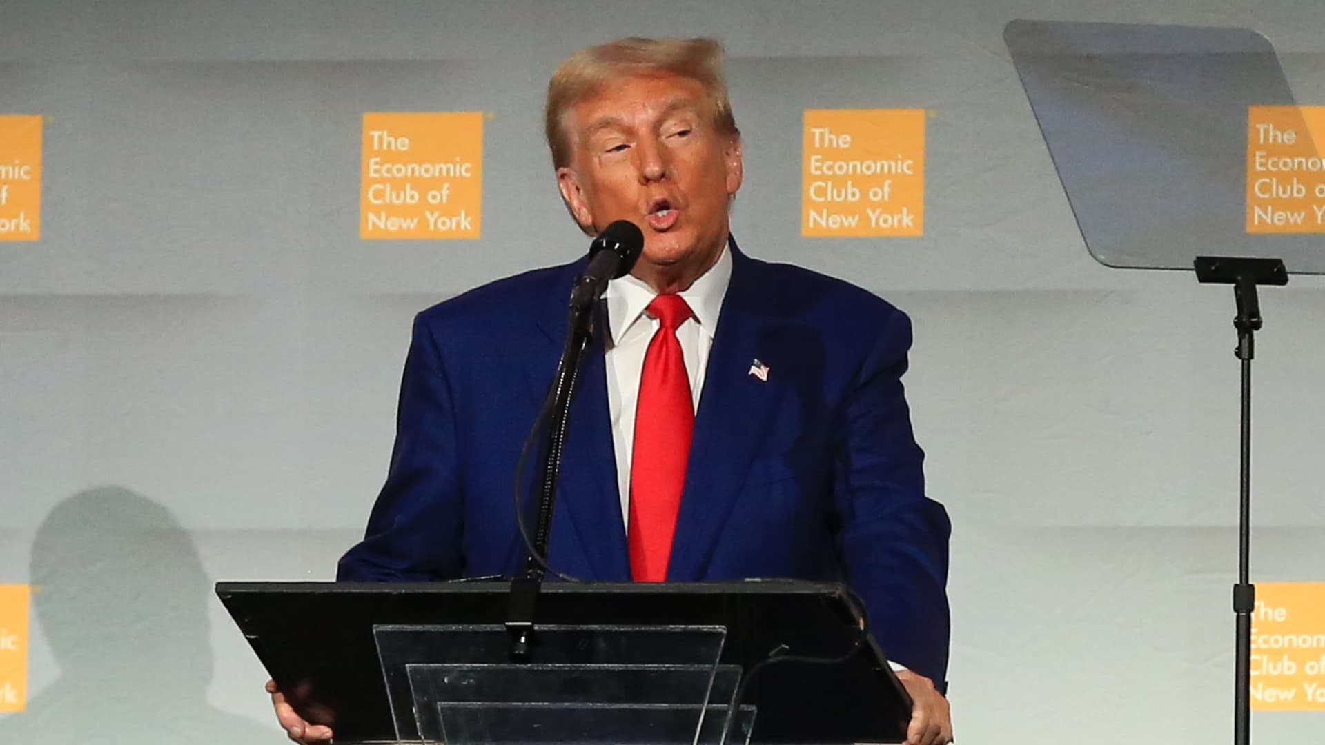 Elon Musk plan for government efficiency enters Trump platform
