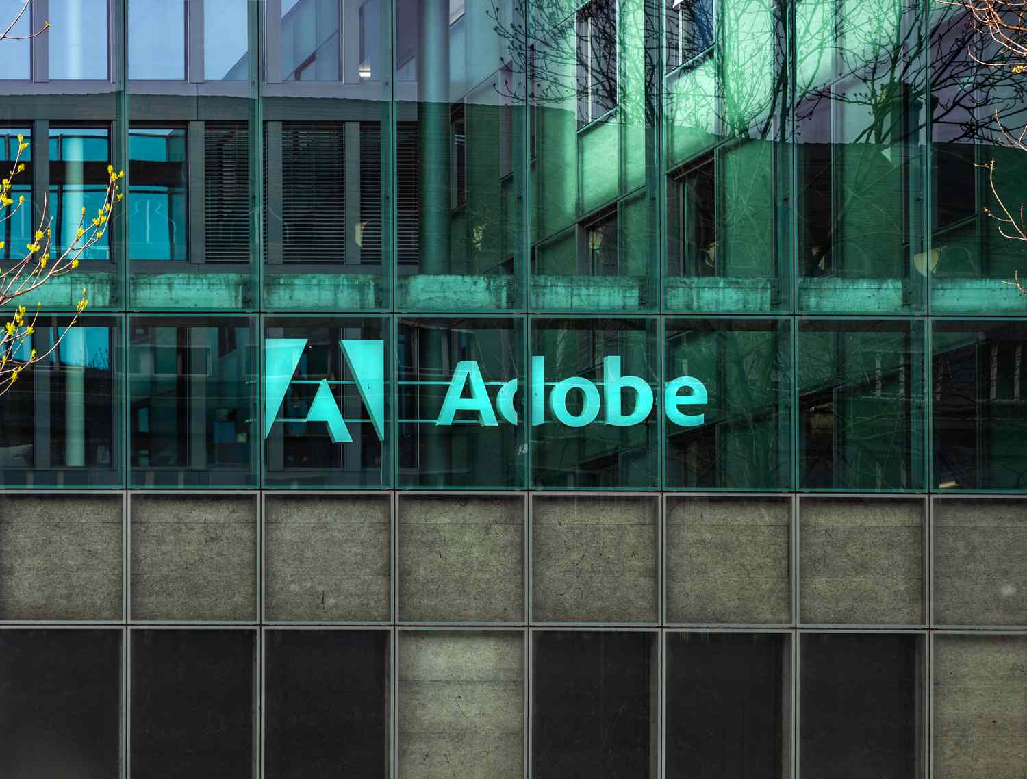 What You Need to Know Ahead of Adobe’s Earnings Report