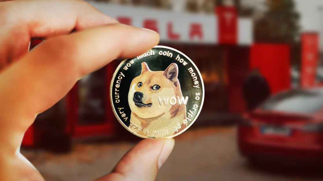 Dogecoin and meme coins plummet, as bitcoin retreats from all-time high
