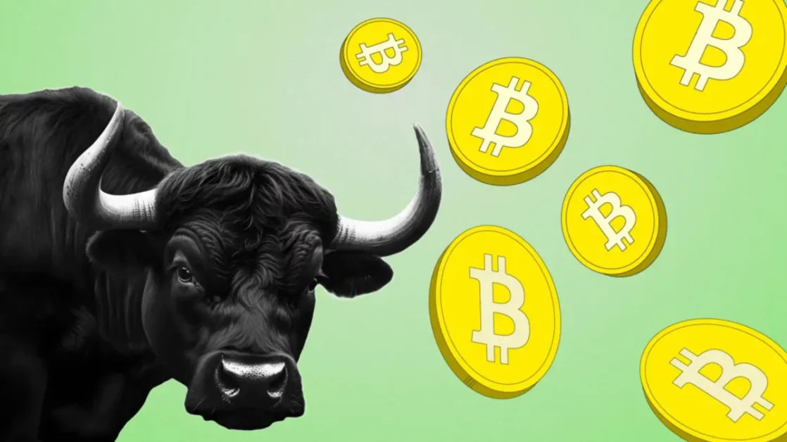 Historical Market Cycle Chart Suggests Crypto Bull Run May Last Until 2026