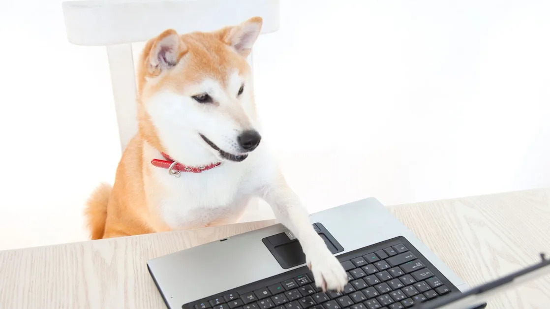 'No DOGE in D.O.G.E.', Says Dogecoin Proponent Elon Musk