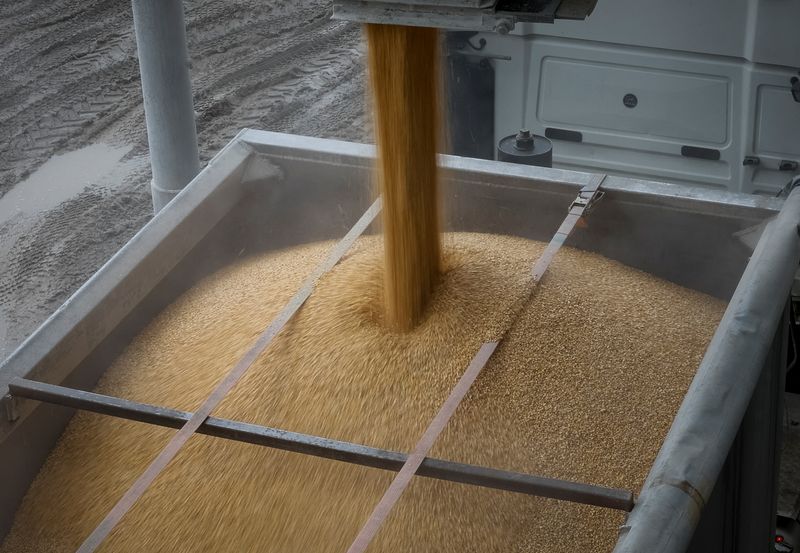 Ukraine’s corn could benefit from US tariffs, analyst says