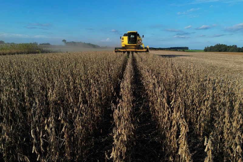 Brazilian researcher who helped country’s grain boom wins World Food Prize