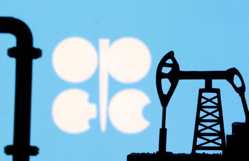 OPEC expects slower 2025 oil supply growth from rivals after price drop