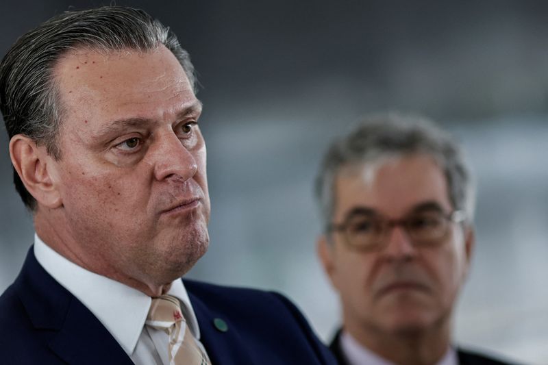 Full ban on Brazil poultry not expected after bird flu outbreak, minister says