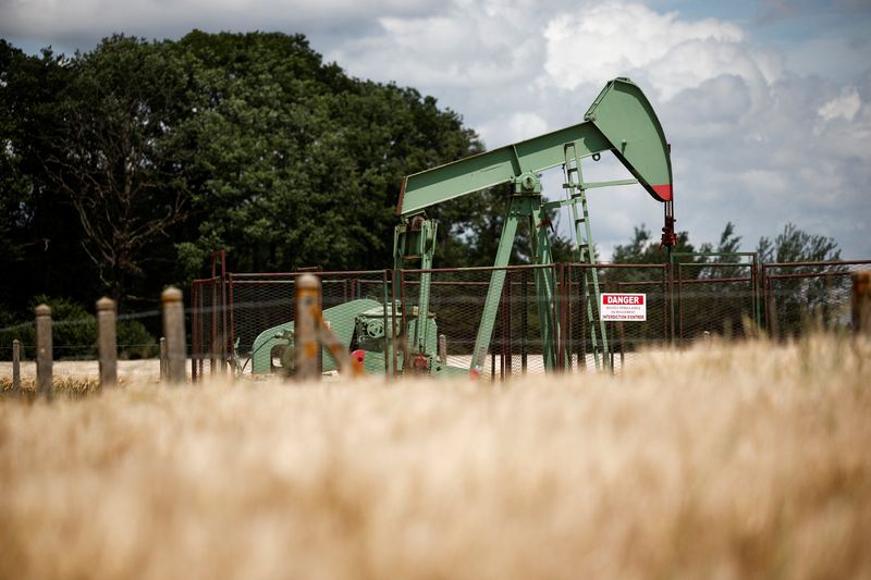 Oil rises in choppy session as investors weigh up US strikes on Iran