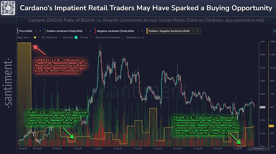 Cardano’s Bearish Retail Crowd Hands Whales a Buying Opportunity